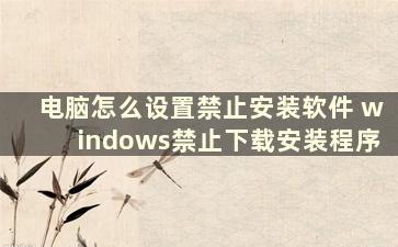 电脑怎么设置禁止安装软件 windows禁止下载安装程序